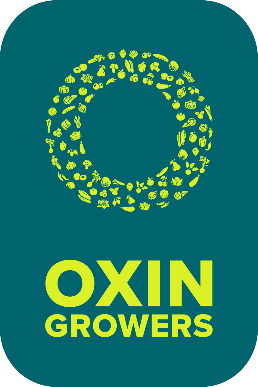 OXIN_LOGO_BASIS_RGB_CENTER